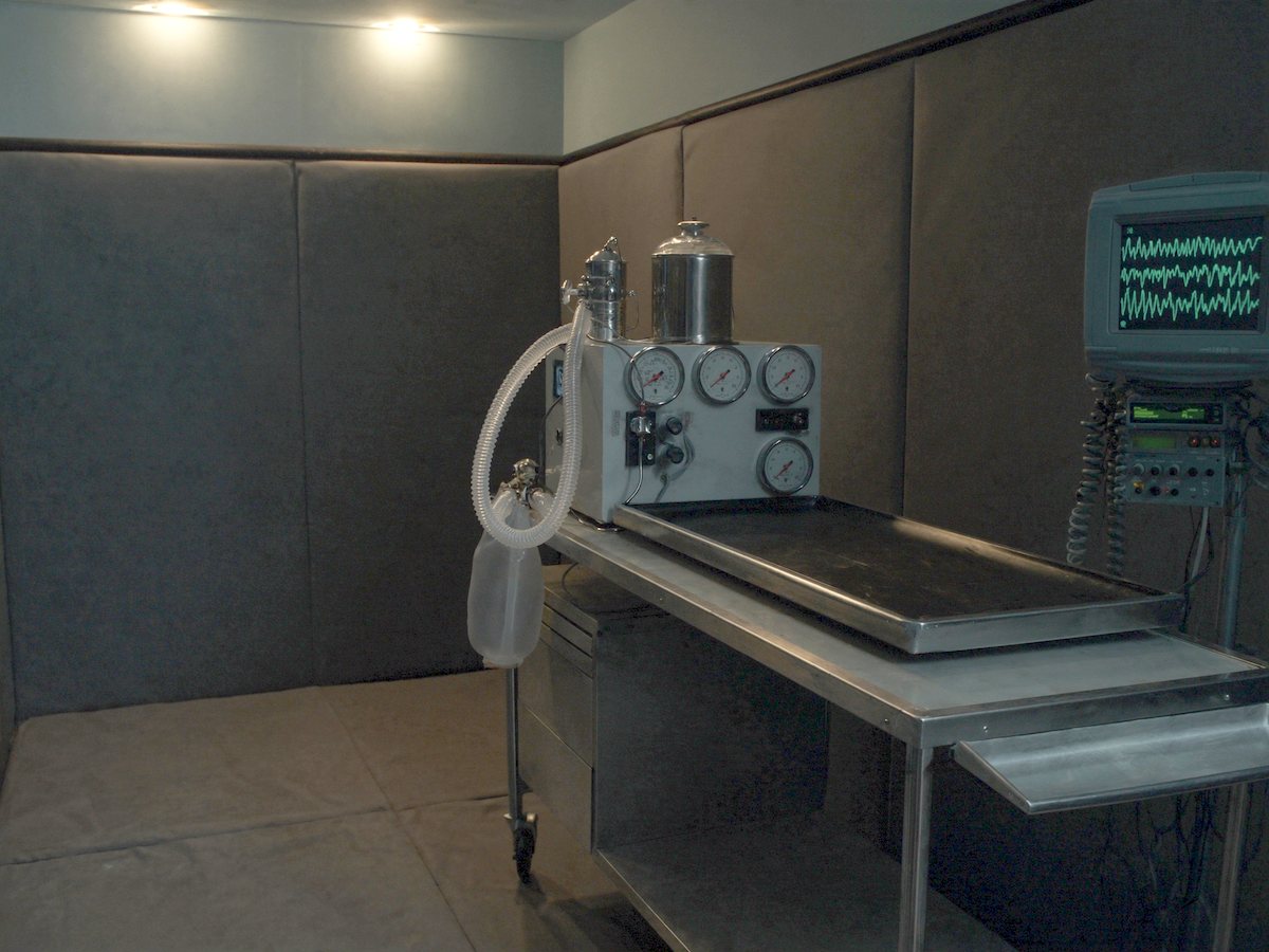 A large-animal anaesthesia machine with corrugated breathing hose, rebreathing bag and a bank of pressure gauges, standing beside a stainless table in a padded induction room, with a patient monitor showing waveform traces on the wall behind it.