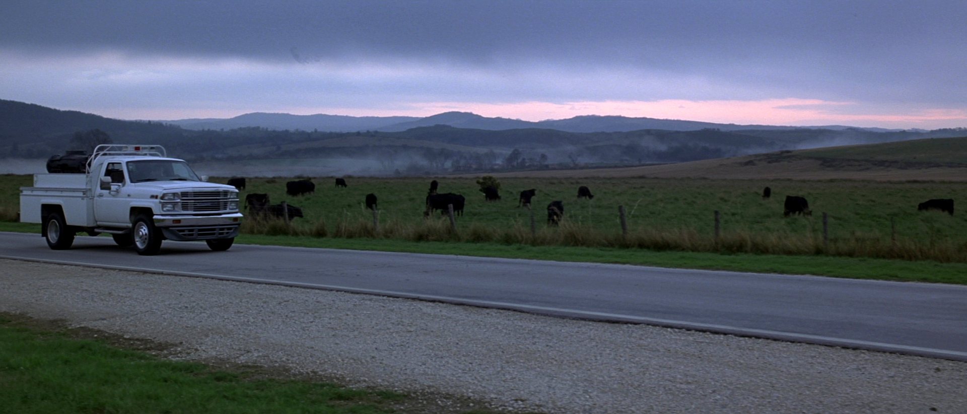 An unmarked white pickup with a fitted utility bed on a county road at first light, black cattle grazing beyond a fence line in rolling pasture with mist lying in the low ground.